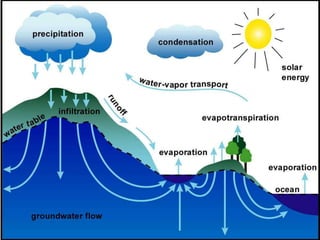 Hydrology & Site Selection of Hydro Power Plant | PPTX