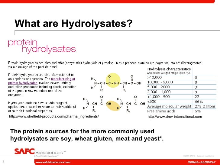 Hydrolysate Characterization Technical Presentation inar11 2009