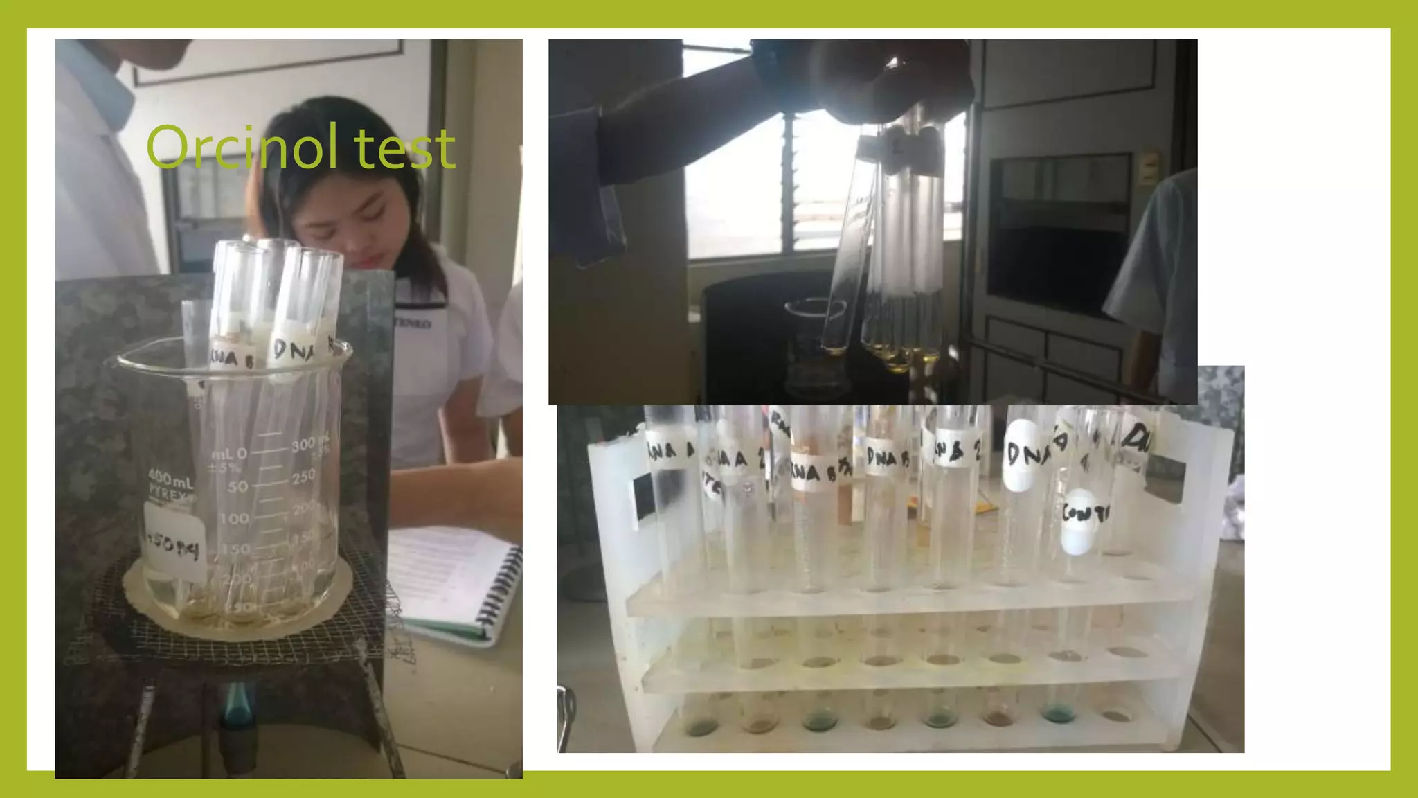 Hydrolysis_of_nucleic_acids.pptx