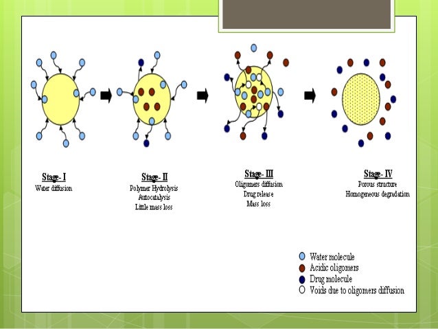 polymer degradation As you know, pyrrolidone is a lactam (ie a cyclic amide) the hcl, which forms upon thermal degradation of vinyl chloride repeating units, will react with the lactam causing acidic hydrolysis . polymer degradation As you know, pyrrolidone is a lactam (ie a cyclic amide) the hcl, which forms upon thermal degradation of vinyl chloride repeating units, will react with the lactam causing acidic hydrolysis .