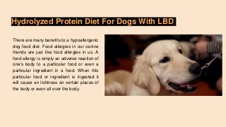 Hydrolyzed Protein Diet For Dogs With LBD
There are many benefits to a hypoallergenic
dog food diet. Food allergies in our canine
friends are just like food allergies in us. A
food allergy is simply an adverse reaction of
one's body to a particular food or even a
particular ingredient in a food. When this
particular food or ingredient is ingested it
will cause an itchiness on certain places of
the body or even all over the body.
 
