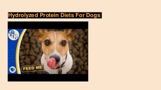 Hydrolyzed Protein Diets For Dogs
 