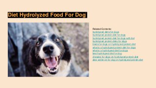 Diet Hydrolyzed Food For Dog
Related Contents:
hydrolyzed diets for dogs
hydrolyzed protein diet for dogs
hydrolyzed protein diet for dogs with ibd
hydrolyzed protein diets for dogs
treats for dogs on hydrolyzed protein diet
what is a hydrolyzed protein diet for dogs
what is a hydrolyzed diet for dogs
best hydrolyzed diet for dog
chewies for dogs on hydrolyzed protein diet
deer antler ok for dog on hydrolyzed protein diet
 
