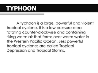 A typhoon is a large, powerful and violent
tropical cyclone. It is a low pressure area
rotating counter-clockwise and containing
rising warm air that forms over warm water in
the Western Pacific Ocean. Less powerful
tropical cyclones are called Tropical
Depression and Tropical Storms.
 