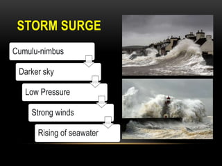 STORM SURGE
Cumulu-nimbus
Darker sky
Low Pressure
Strong winds
Rising of seawater
 