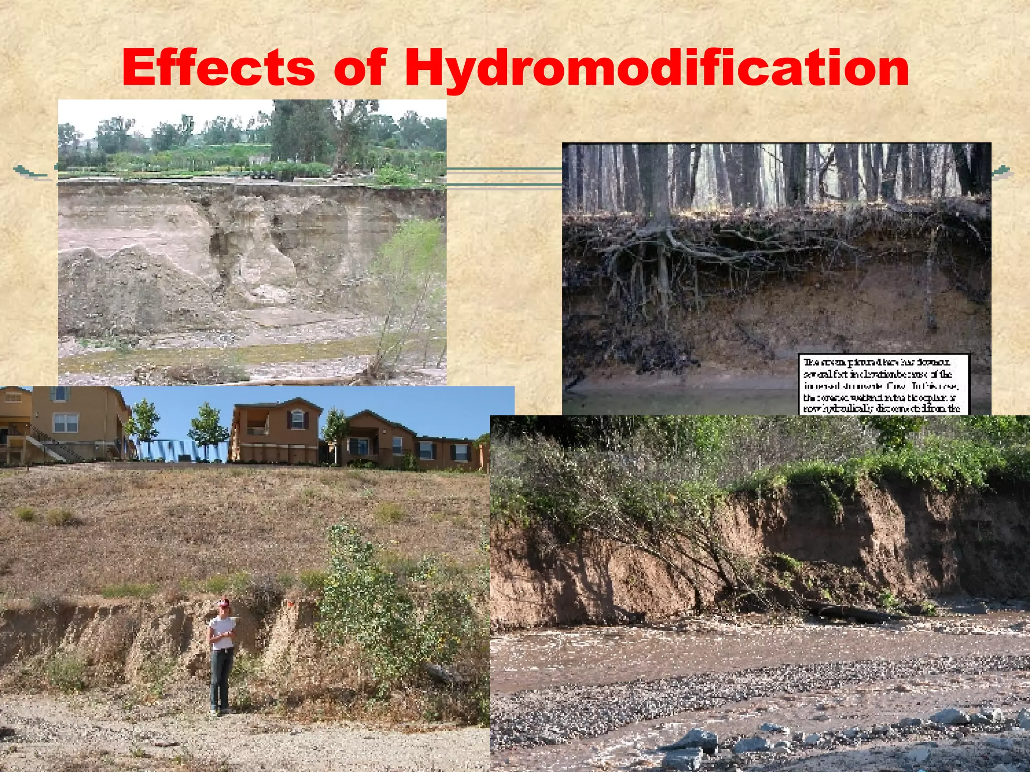 Effects of Hydromodification 