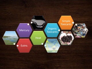 Eutro.
Heat
Mercury
Organic
Toxicants
Simple
Toxicants
 