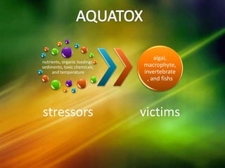 nutrients, organic loadings,
sediments, toxic chemicals,
and temperature
stressors
algal,
macrophyte,
invertebrate
, and fishs
victims
 