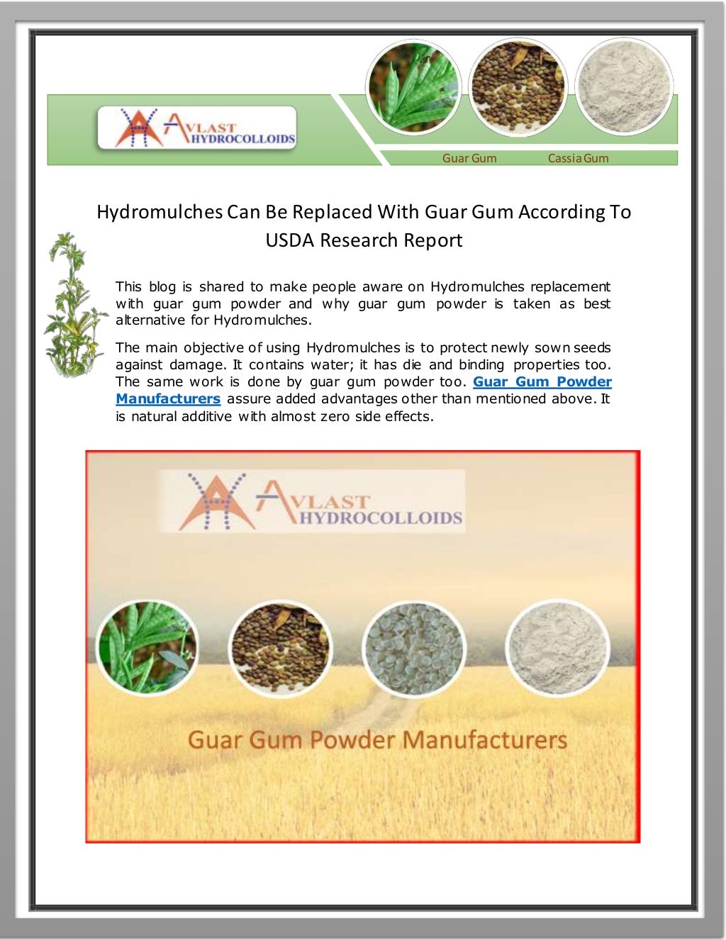 Latest Research hydromulches with guar gum substitutes