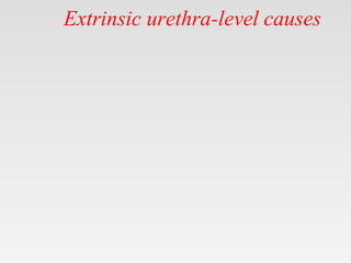 Extrinsic urethra-level causes
 