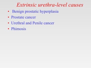 Extrinsic urethra-level causes
• Benign prostatic hyperplasia
• Prostate cancer
• Urethral and Penile cancer
• Phimosis
 