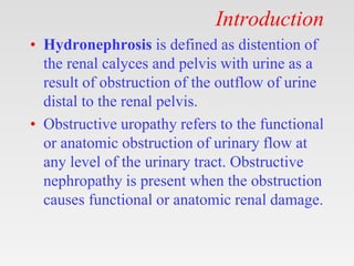 Introduction
• Hydronephrosis is defined as distention of
the renal calyces and pelvis with urine as a
result of obstruction of the outflow of urine
distal to the renal pelvis.
• Obstructive uropathy refers to the functional
or anatomic obstruction of urinary flow at
any level of the urinary tract. Obstructive
nephropathy is present when the obstruction
causes functional or anatomic renal damage.
 