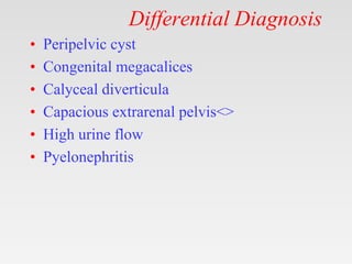 Differential Diagnosis
• Peripelvic cyst
• Congenital megacalices
• Calyceal diverticula
• Capacious extrarenal pelvis<>
• High urine flow
• Pyelonephritis
 