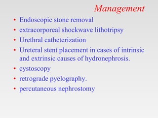 Management
• Endoscopic stone removal
• extracorporeal shockwave lithotripsy
• Urethral catheterization
• Ureteral stent placement in cases of intrinsic
and extrinsic causes of hydronephrosis.
• cystoscopy
• retrograde pyelography.
• percutaneous nephrostomy
 