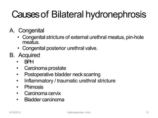8/18/2013 Hydronephrosis -Intro 13
Causesof Bilateral hydronephrosis
A. Congenital
• Congenital stricture of external urethral meatus, pin-hole
meatus.
• Congenital posterior urethral valve.
B. Acquired
• BPH
• Carcinoma prostate
• Postoperative bladder neckscarring
• Inflammatory / traumatic urethral stricture
• Phimosis
• Carcinoma cervix
• Bladder carcinoma
 