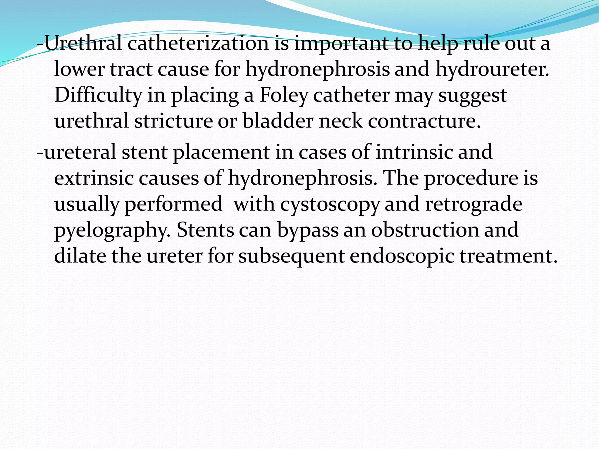 Hydronephrosis PPTX hydronephrosis-pptx