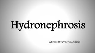 Hydronephrosis
Submitted by ; Vinayak Ambekar
 