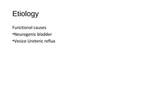Etiology
Functional causes
•Neurogenic bladder
•Vesico Ureteric reflux
 