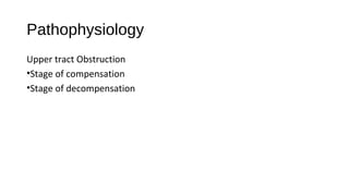 Pathophysiology
Upper tract Obstruction
•Stage of compensation
•Stage of decompensation
 