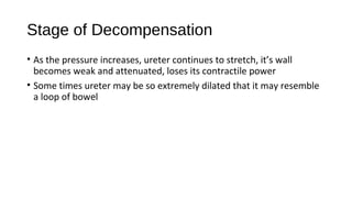 Stage of Decompensation
• As the pressure increases, ureter continues to stretch, it’s wall
becomes weak and attenuated, loses its contractile power
• Some times ureter may be so extremely dilated that it may resemble
a loop of bowel
 