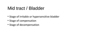 Mid tract / Bladder
• Stage of irritable or hypersensitive bladder
• Stage of compensation
• Stage of decompensation
 