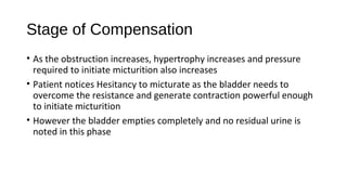 Stage of Compensation
• As the obstruction increases, hypertrophy increases and pressure
required to initiate micturition also increases
• Patient notices Hesitancy to micturate as the bladder needs to
overcome the resistance and generate contraction powerful enough
to initiate micturition
• However the bladder empties completely and no residual urine is
noted in this phase
 