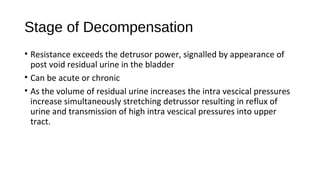 Stage of Decompensation
• Resistance exceeds the detrusor power, signalled by appearance of
post void residual urine in the bladder
• Can be acute or chronic
• As the volume of residual urine increases the intra vescical pressures
increase simultaneously stretching detrussor resulting in reflux of
urine and transmission of high intra vescical pressures into upper
tract.
 