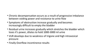 • Chronic decompensation occurs as a result of progressive imbalance
between voiding power and resistance to urine flow
• Symptoms of obstruction increase gradually and becomes
increasingly difficult to empty the bladder
• Residual urine increases gradually which stretches the bladder which
loses it’s power, dilates to hold 1000-3000 ml urine
• VUR develops due to weakness of trigone and high intravesical
pressure
• Finally Overflow incontinence results
 