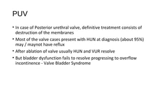 PUV
• In case of Posterior urethral valve, definitive treatment consists of
destruction of the membranes
• Most of the valve cases present with HUN at diagnosis (about 95%)
may / maynot have reflux
• After ablation of valve usually HUN and VUR resolve
• But bladder dysfunction fails to resolve progressing to overflow
incontinence - Valve Bladder Syndrome
 