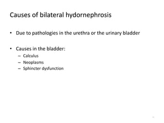 Causes of bilateral hydornephrosis
• Due to pathologies in the urethra or the urinary bladder
• Causes in the bladder:
– Calculus
– Neoplasms
– Sphincter dysfunction
14
 