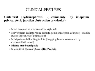 CLINICALFEA
TURES
Unilateral Hydronephrosis ( commonly by idiopathic
pelvicureteric junction obstruction or calculus)
• More common in women and on right side
• May remain silent for long periods, being apparent in course of imaging
studies (about 3%of population)
• Mild pain or dull aching in loin (dragging heaviness worsened by
excessivefluid intake)
• Kidney may be palpable
• Intermittent Hydronephrosis (Dietl’s crisis)
 