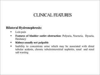 CLINICALFEA
TURES
Bilateral Hydronephrosis:
Dysuria,
 Loin pain
 Features of bladder outlet obstruction: Polyuria, Nocturia,
Hesitancy
 Kidneys usually not palpable
 Inability to concentrate urine which may be associated with distal
tubular acidosis, chronic tubulointerstitial nephritis, renal and renal
salt wasting
 