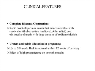 CLINICALFEATURES
• Complete Bilateral Obstruction:
Rapid onset oliguria or anuria that is incompatible with
survival until obstruction is relieved.After relief, post
obstructive diuresis with large amount of sodium chloride
• Ureters and pelvis dilatation in pregnancy:
Up to 20th week .Backto normal within 12 weeks of delivery
Effect of high progesterone on smooth muscles
 