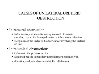 CAUSESOF UNILATERALURETERIC
OBSTRUCTION
• Intramural obstruction:
 Inflammatory stricture following removal of ureteric
calculus, repair of a damaged ureter or tuberculous infection
 Neoplasm of the ureter or bladder cancer involving the ureteric
orifice
• Intraluminal obstruction:
 Calculus in the pelvis or ureter
 Sloughed papilla in papillary necrosis(more commonly in
• diabetics, analgesic abusers and sickle cell disease)
 