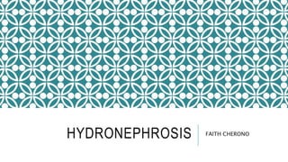 HYDRONEPHROSIS FAITH CHERONO
 