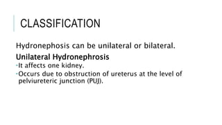 hydronephrosis.pptx