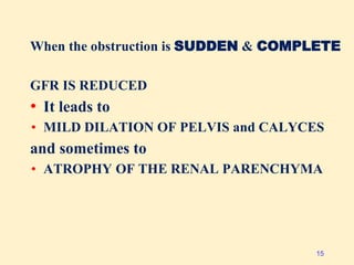 When the obstruction is SUDDEN & COMPLETE
GFR IS REDUCED
• It leads to
• MILD DILATION OF PELVIS and CALYCES
and sometimes to
• ATROPHY OF THE RENAL PARENCHYMA
15
 