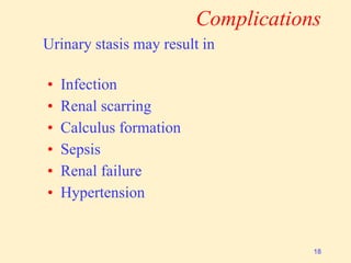 Complications
Urinary stasis may result in
• Infection
• Renal scarring
• Calculus formation
• Sepsis
• Renal failure
• Hypertension
18
 