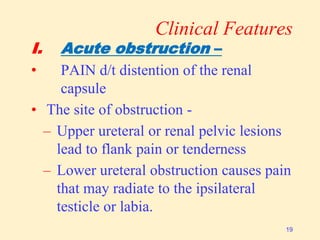 Clinical Features
I. Acute obstruction –
• PAIN d/t distention of the renal
capsule
• The site of obstruction -
– Upper ureteral or renal pelvic lesions
lead to flank pain or tenderness
– Lower ureteral obstruction causes pain
that may radiate to the ipsilateral
testicle or labia.
19
 