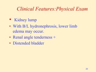 Clinical Features:Physical Exam
• Kidney lump
• With B/L hydronephrosis, lower limb
edema may occur.
• Renal angle tenderness +
• Distended bladder
23
 