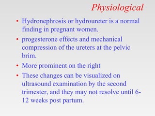 Physiological
• Hydronephrosis or hydroureter is a normal
finding in pregnant women.
• progesterone effects and mechanical
compression of the ureters at the pelvic
brim.
• More prominent on the right
• These changes can be visualized on
ultrasound examination by the second
trimester, and they may not resolve until 6-
12 weeks post partum.
 