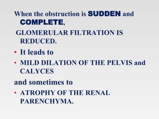 When the obstruction is SUDDEN and
COMPLETE,
GLOMERULAR FILTRATION IS
REDUCED.
• It leads to
• MILD DILATION OF THE PELVIS and
CALYCES
and sometimes to
• ATROPHY OF THE RENAL
PARENCHYMA.
 