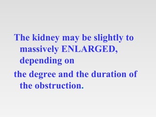 The kidney may be slightly to
massively ENLARGED,
depending on
the degree and the duration of
the obstruction.
 