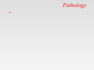 Pathology
•
 