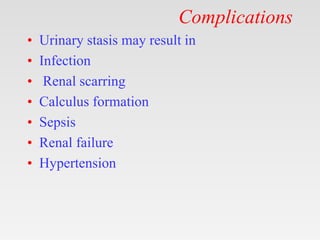 Complications
• Urinary stasis may result in
• Infection
• Renal scarring
• Calculus formation
• Sepsis
• Renal failure
• Hypertension
 