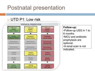hydronephrosis.pptx