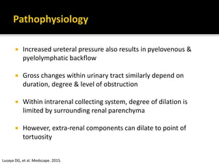  Increased ureteral pressure also results in pyelovenous &
pyelolymphatic backflow
 Gross changes within urinary tract similarly depend on
duration, degree & level of obstruction
 Within intrarenal collecting system, degree of dilation is
limited by surrounding renal parenchyma
 However, extra-renal components can dilate to point of
tortuosity
Lusaya DG, et al. Medscape. 2015.
 