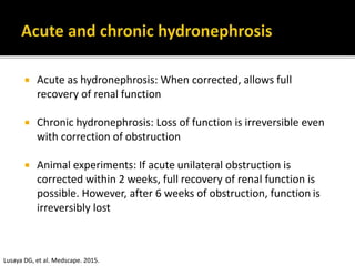  Acute as hydronephrosis: When corrected, allows full
recovery of renal function
 Chronic hydronephrosis: Loss of function is irreversible even
with correction of obstruction
 Animal experiments: If acute unilateral obstruction is
corrected within 2 weeks, full recovery of renal function is
possible. However, after 6 weeks of obstruction, function is
irreversibly lost
Lusaya DG, et al. Medscape. 2015.
 