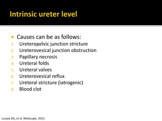 Causes can be as follows:
1. Ureteropelvic junction stricture
2. Ureterovesical junction obstruction
3. Papillary necrosis
4. Ureteral folds
5. Ureteral valves
6. Ureterovesical reflux
7. Ureteral stricture (iatrogenic)
8. Blood clot
Lusaya DG, et al. Medscape. 2015.
 