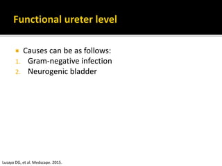  Causes can be as follows:
1. Gram-negative infection
2. Neurogenic bladder
Lusaya DG, et al. Medscape. 2015.
 